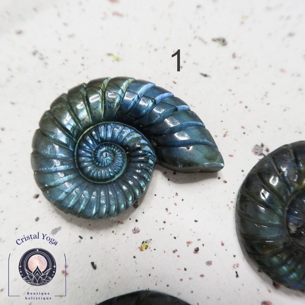 Ammonites en labradorite