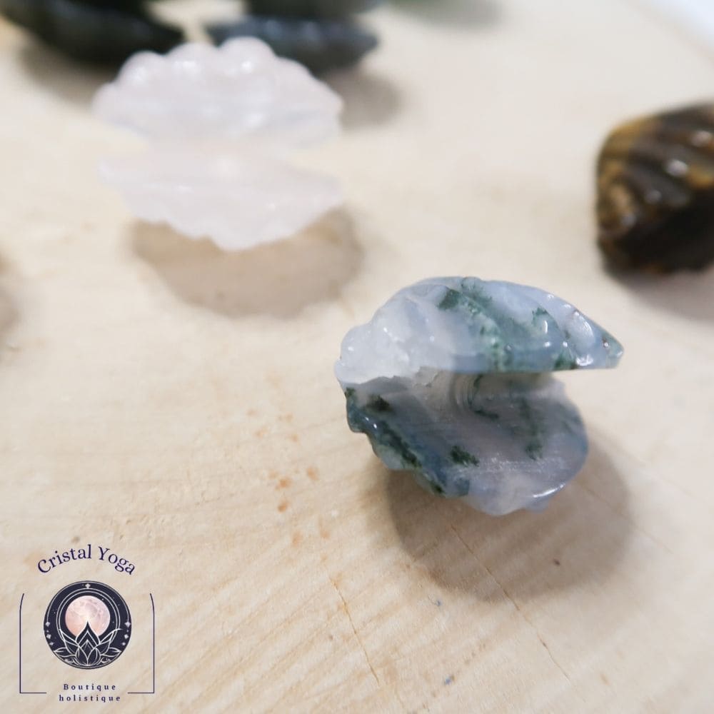 coquillage en aventurine