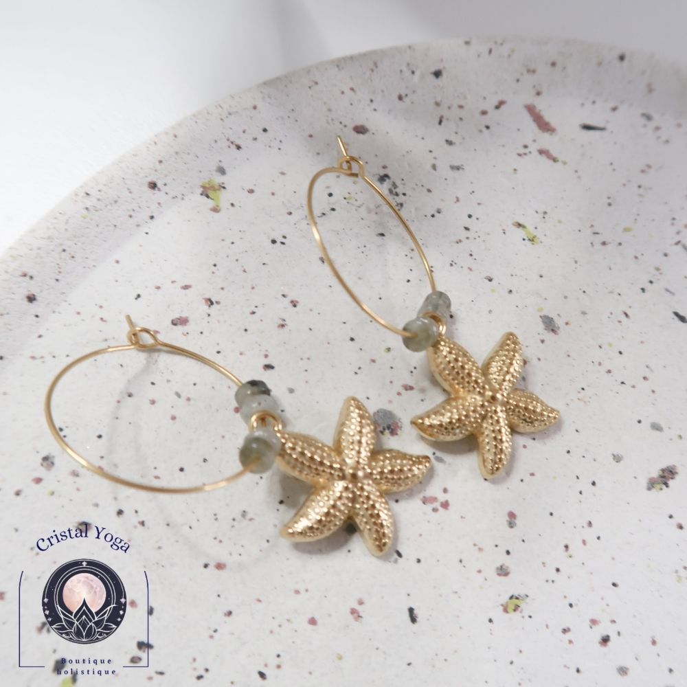 Boucles d'oreilles labradorite et acier inoxydable