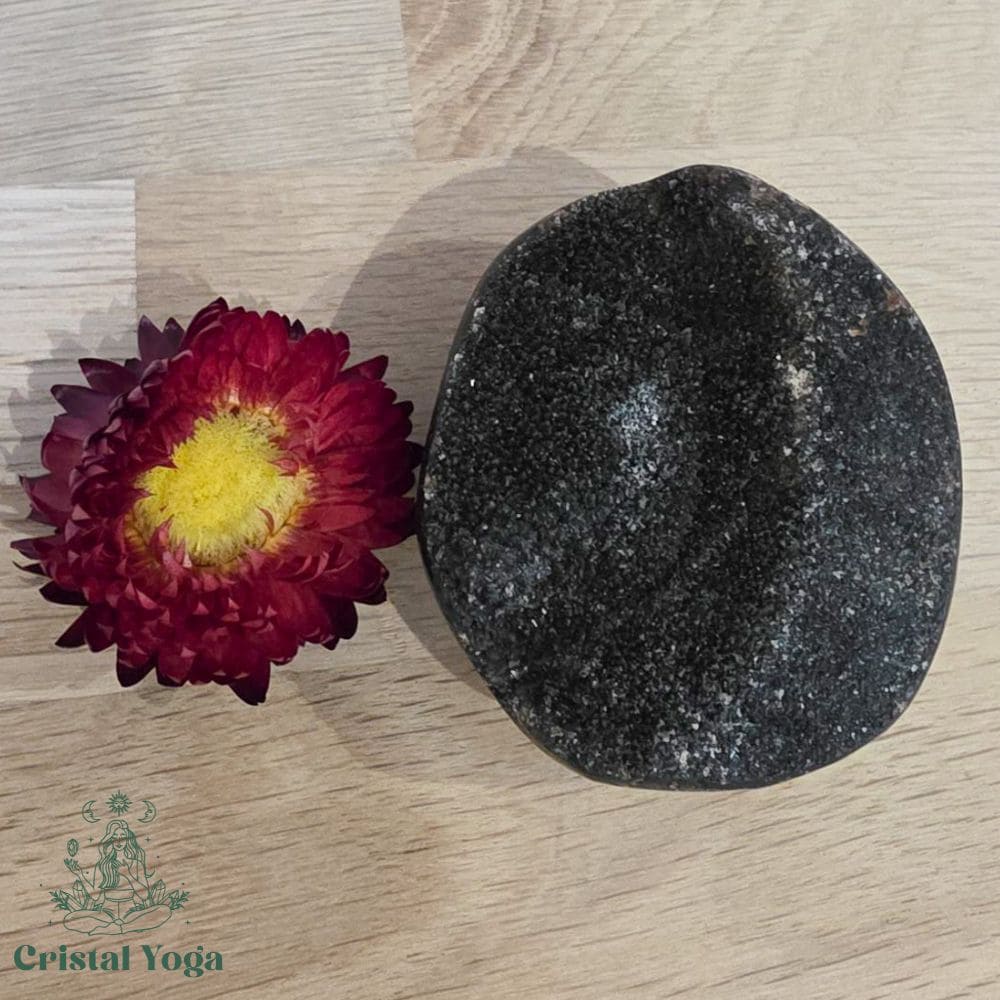 Galet en septaria sauvage