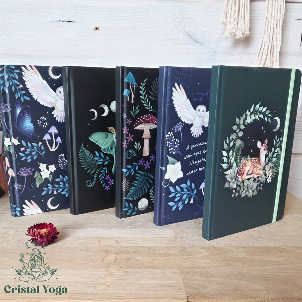 Carnet collection Forêt Magique