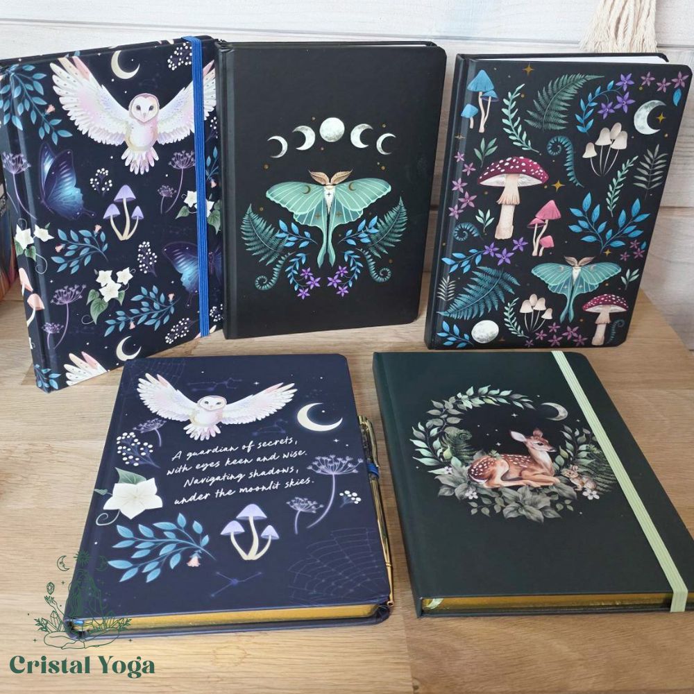 Carnets collection Forêt Magique