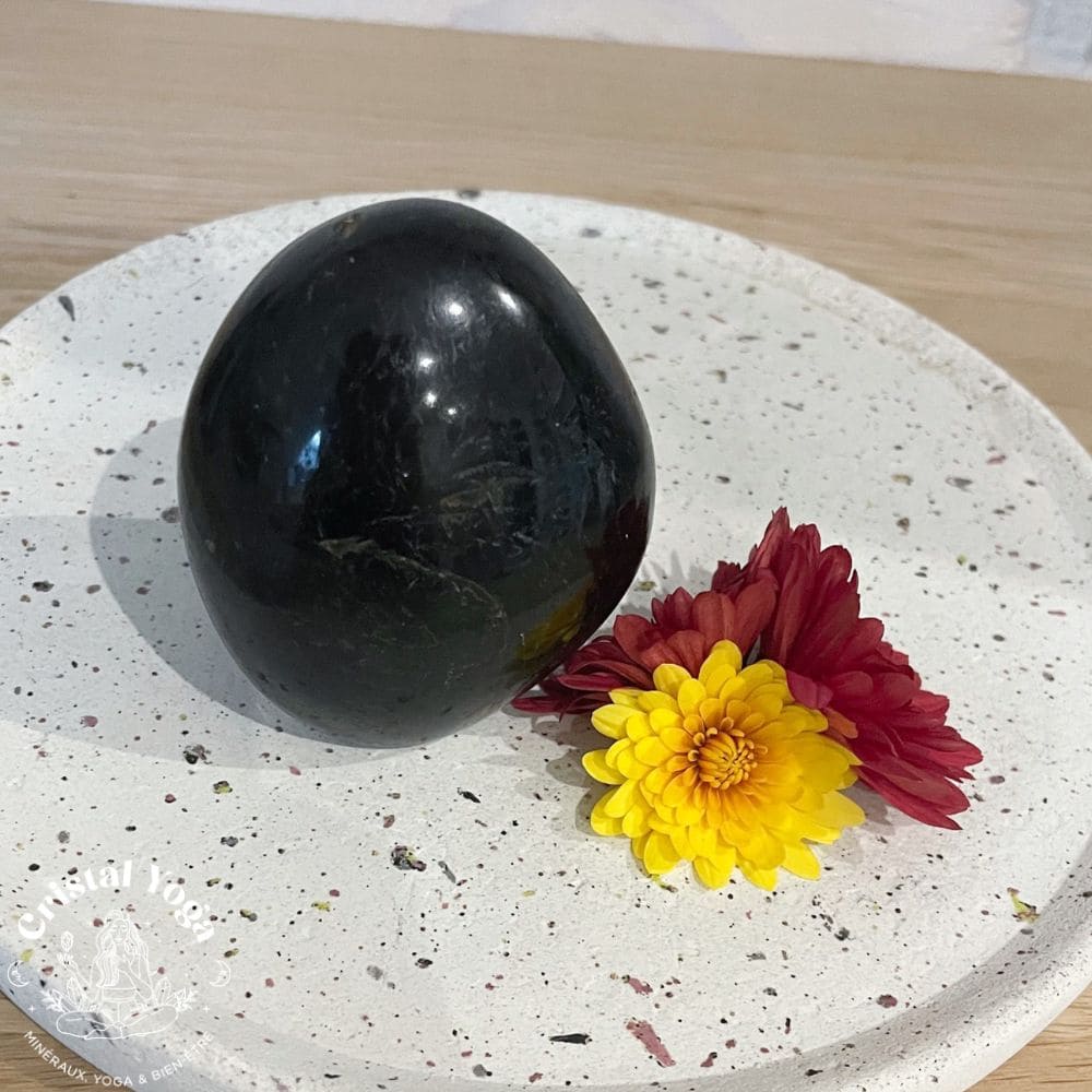 Forme libre de tourmaline noire