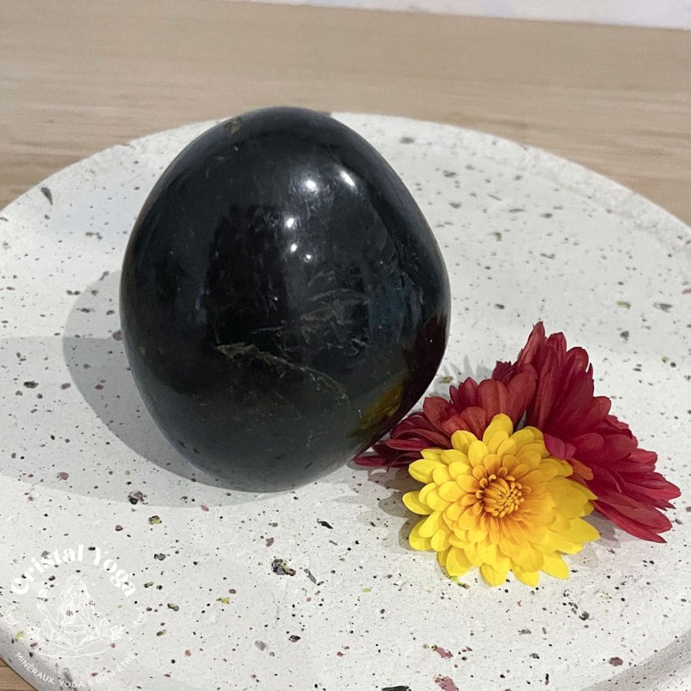 Forme libre en tourmaline noire